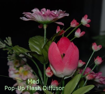 Blombild tagen med Flash Diffusor Pop-Up
