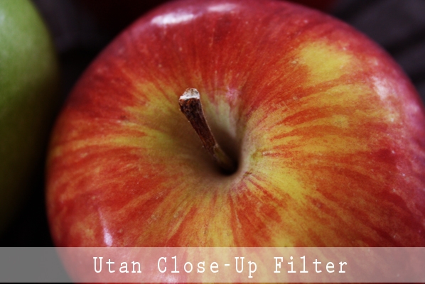Utan Close-up